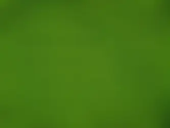 Hey All, I'm Back in Action: An Update on My Health and Work Status