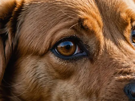 Curious Canine: 5 Surprising Dog Facts You Probably Didn't Know