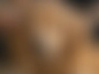 Uncovering the Ultimate Solution: Combatting Dog Allergies with Expert Grooming Techniques