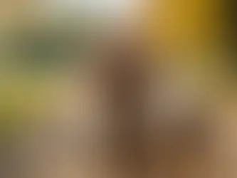 Uncovering the Enigmatic World of Poodles: 5 Fascinating Facts Every Pet Owner Should Know