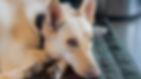 DSC06178.jpg