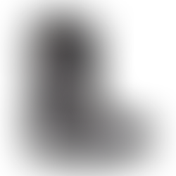 Burton Ion Step-On Boots