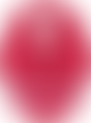 Nouvelle boutique en ligne !