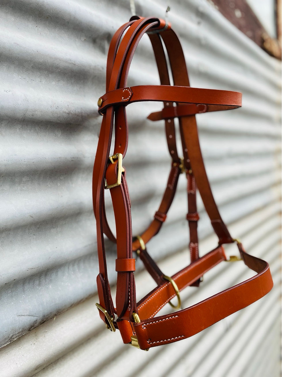 Light horse bridle & halter combo with double reins Ironbark Trading