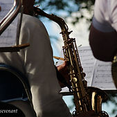 IMG_7413.jpg