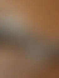 Home Buying/Buyer's Guide