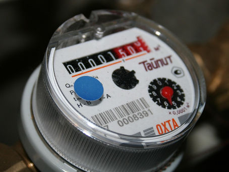 Sustainable Living Starts at Home: How to Reduce Your Water Bill and Save the Planet