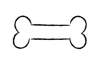 24080868.png