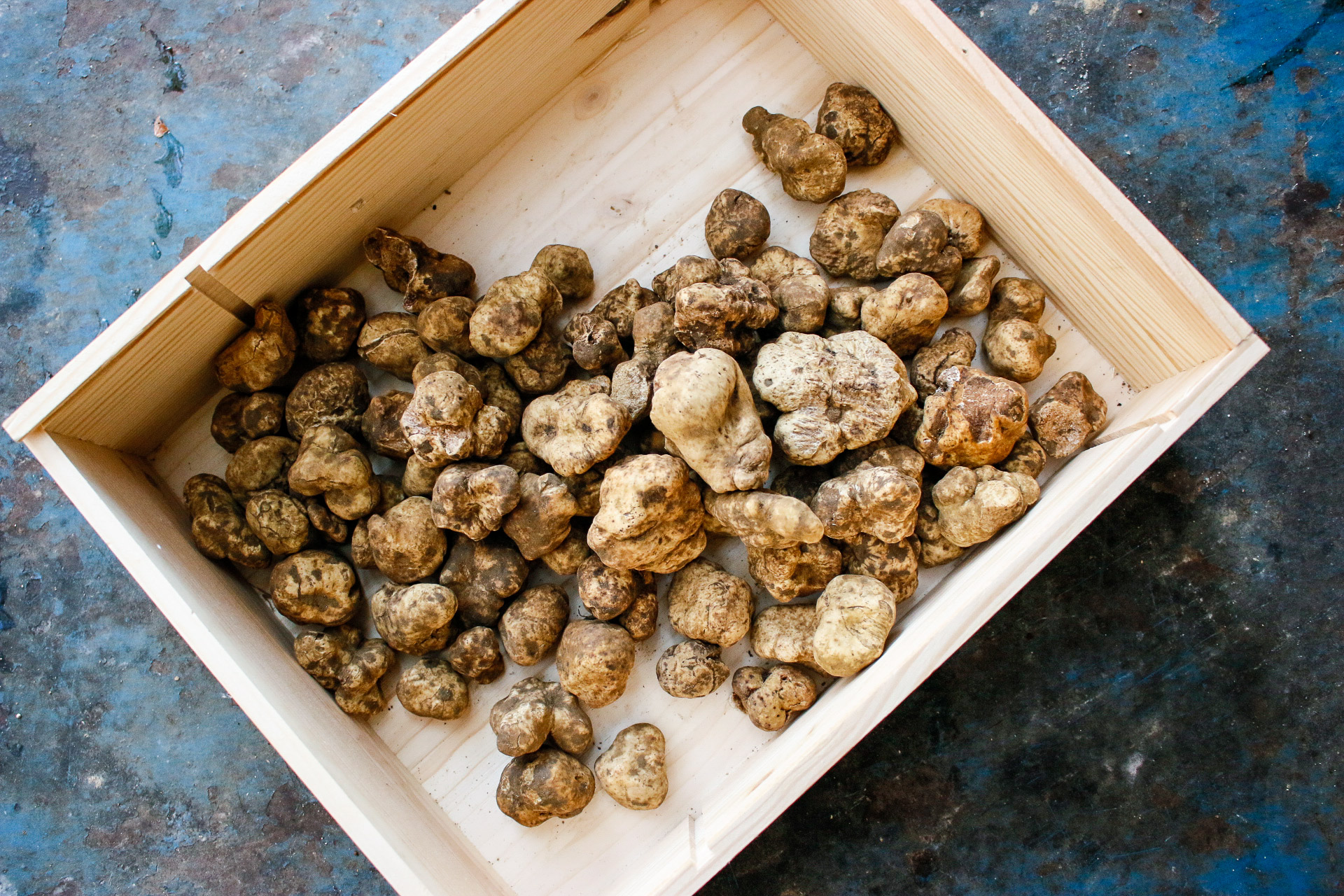 Arranged Food and Objects