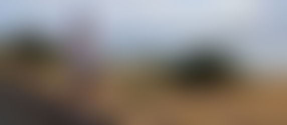 Dom Jones - Spartathlon 2025