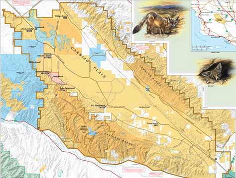 Carrizo Plain: The Best Wildflowers in California?