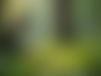 The Transformative Power of Hobbies: Uncovering Your True Self Through Passion and Play