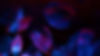 Neon Minimalist Motivational Inspirational Quote Facebook Cover.jpg