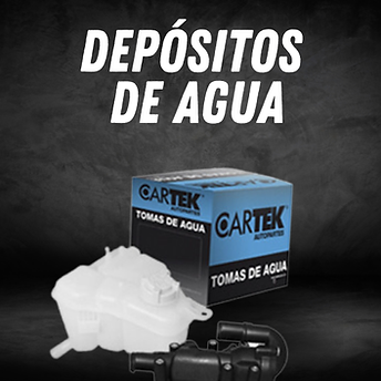 quinsa-deposito-dee-agua-cartek.png