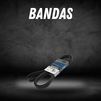 Quinsa-bandas-cartek.png