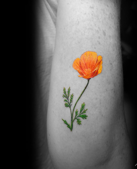 Realistic color poppy tattoo
