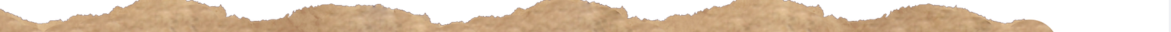 brown-paper-strip.png