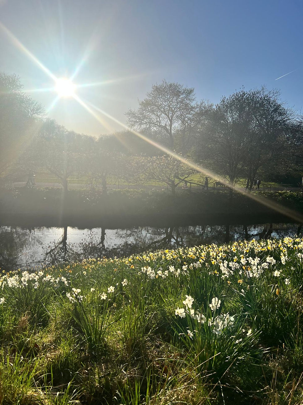 Vinovăția ne ține în rolul de salvator. Află cum să te conectezi la siguranța interioară și să-ți onorezi nevoile fără teamă sau vinovăție.