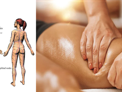 Pourquoi le système lymphatique ?