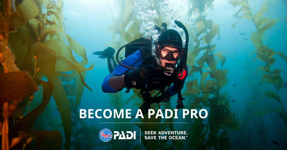 Become-a-PADI-Pro.png