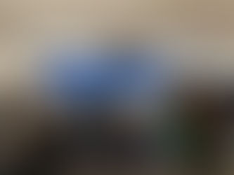 Le Programme DIVI Participe au Lancement des Capsules Vidéo Juridiques pour les Nouveaux Arrivants Francophones