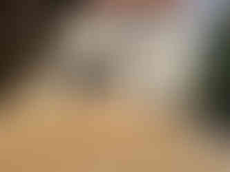 Aménagement de cour en gravier et allée en pavés à Thomery – Pim’s Revêtements