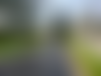 Réalisation d’une allée enrobée et pavée par Pim’s Revêtements en Seine-et-Marne à Thomery (77810) : enrobé noir et finitions pavées haut de gamme