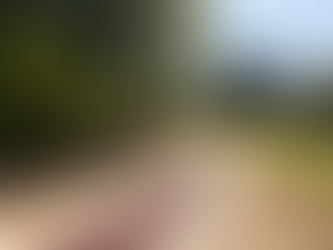 Photo d'une allée et d'un accès de maison en enrobé rouge réalisées par Pim's revêtements en Seine-et-Marne