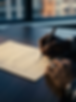 7dad2c49-34df-48e8-bf54-371a9940de3b_PhotoGrid.png