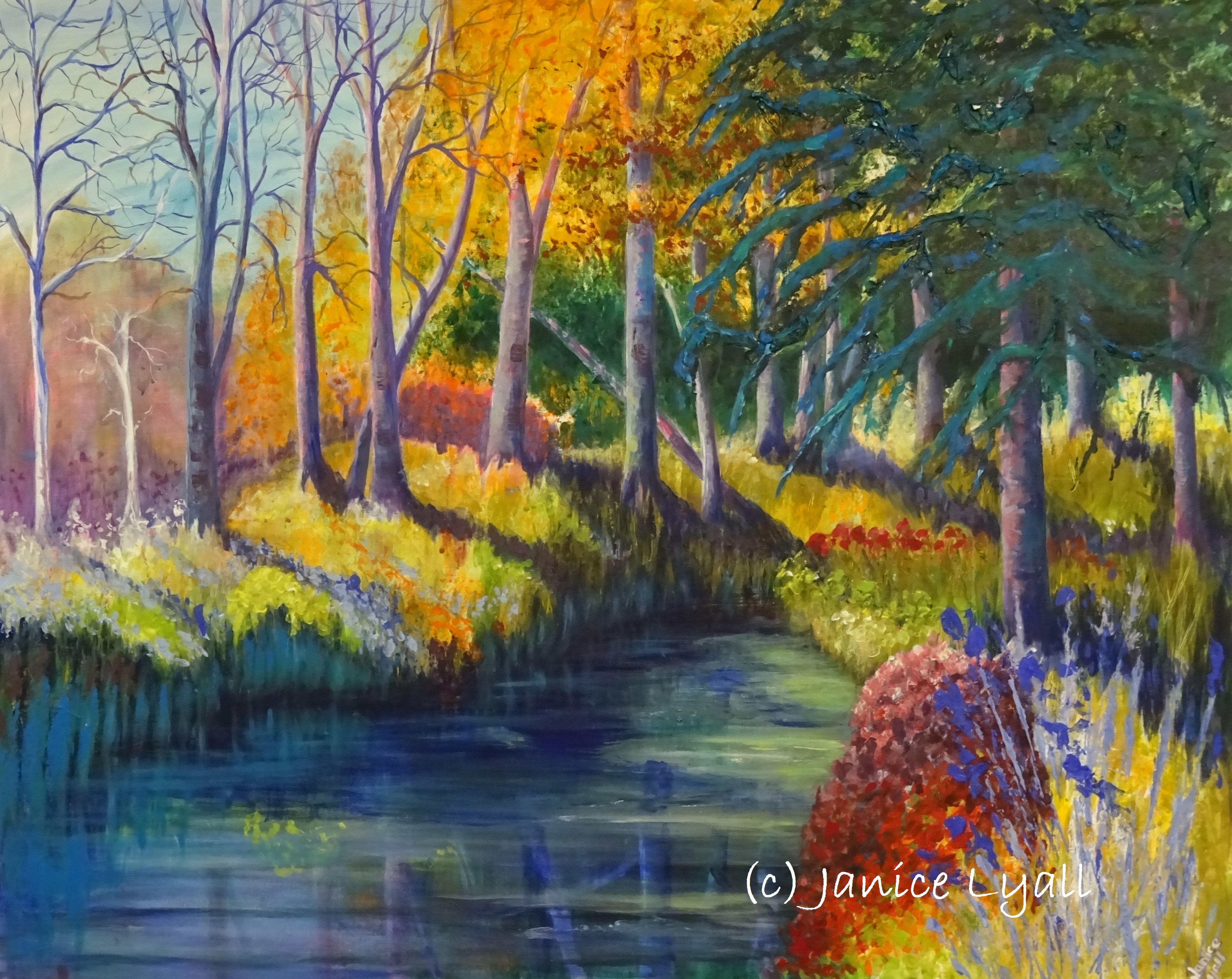 'Autumn Colour' by Janice Lyall