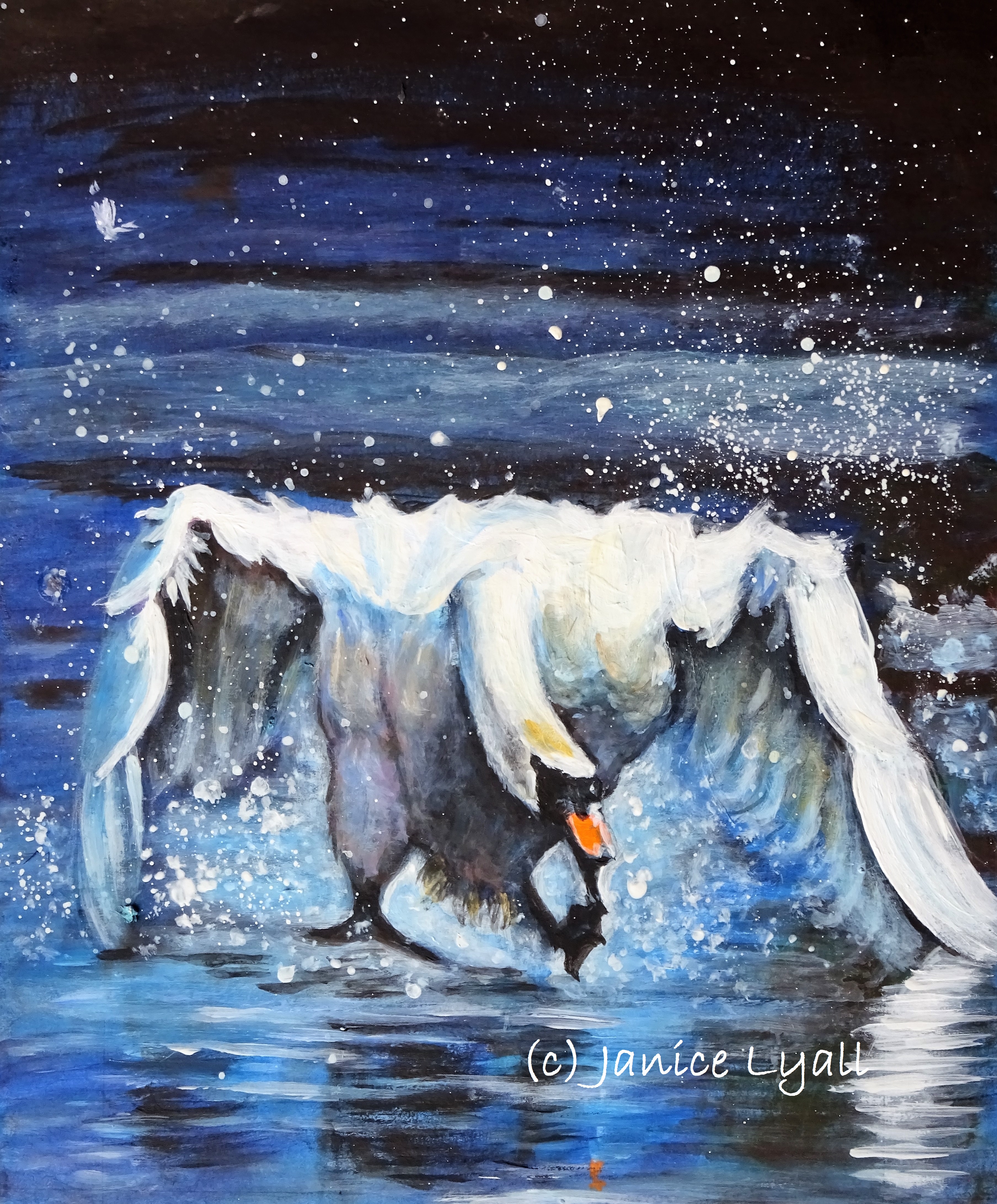 Rustling Feathers