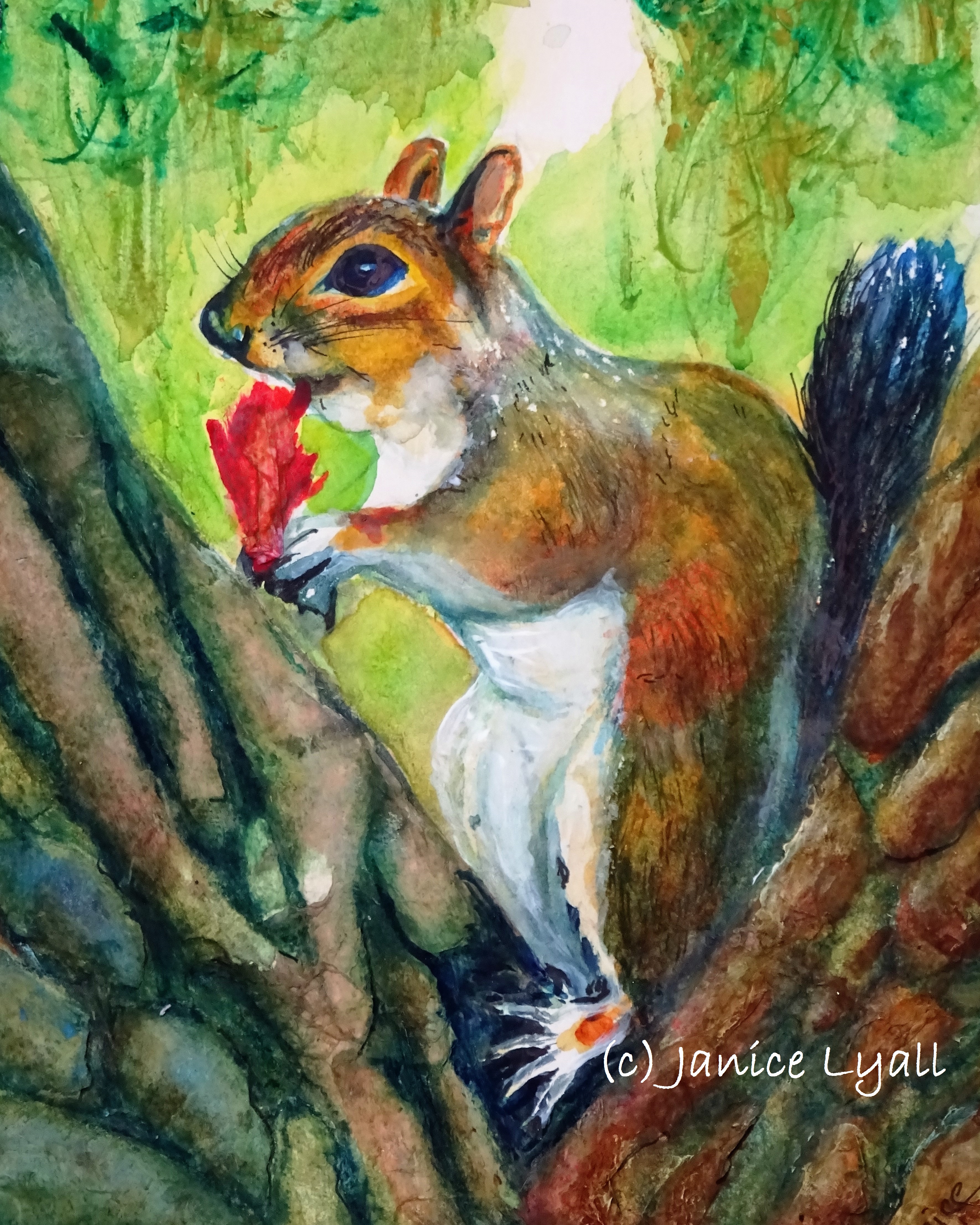 Squirrel at Lunch
