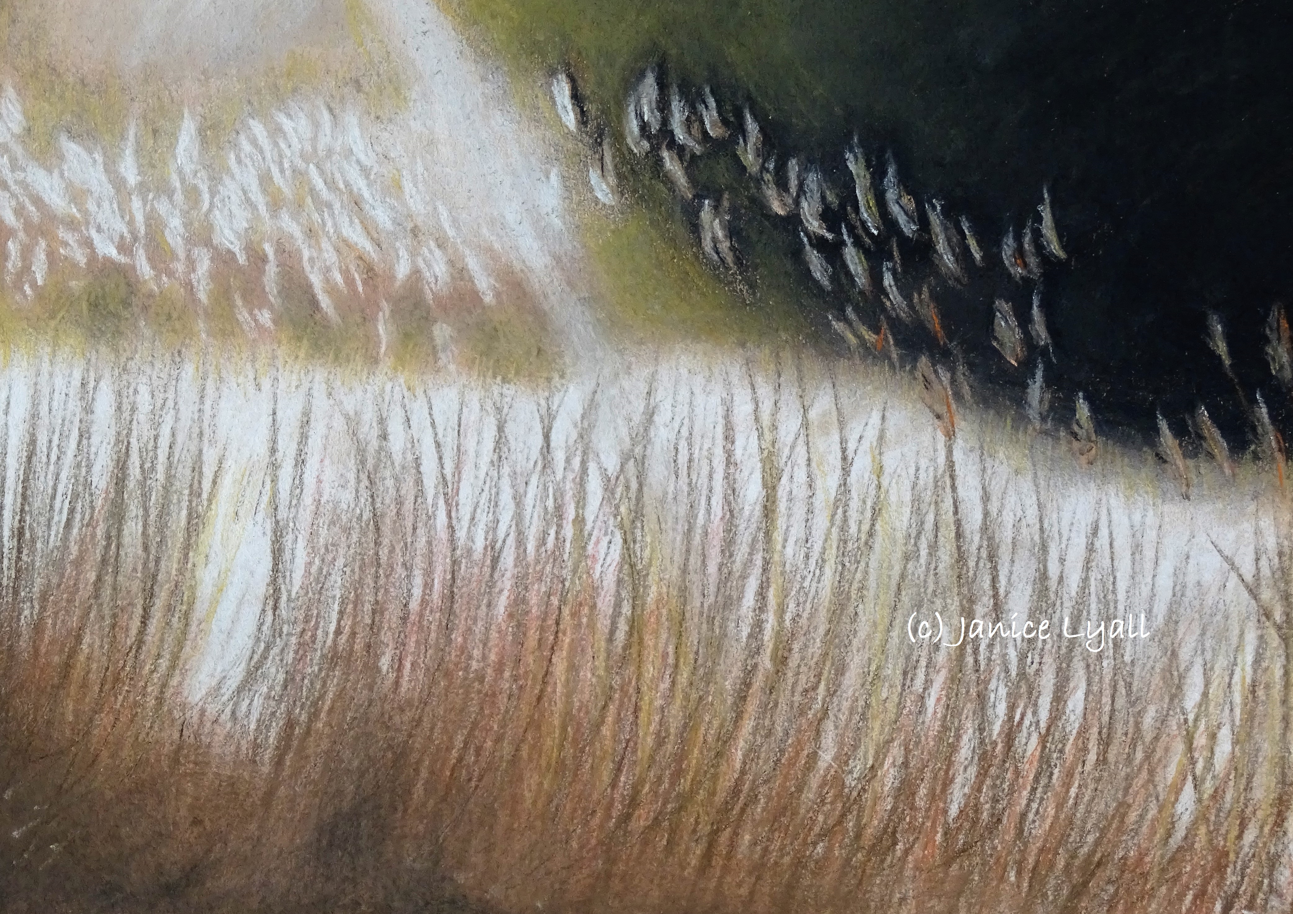 Fertile banks of the River Severn