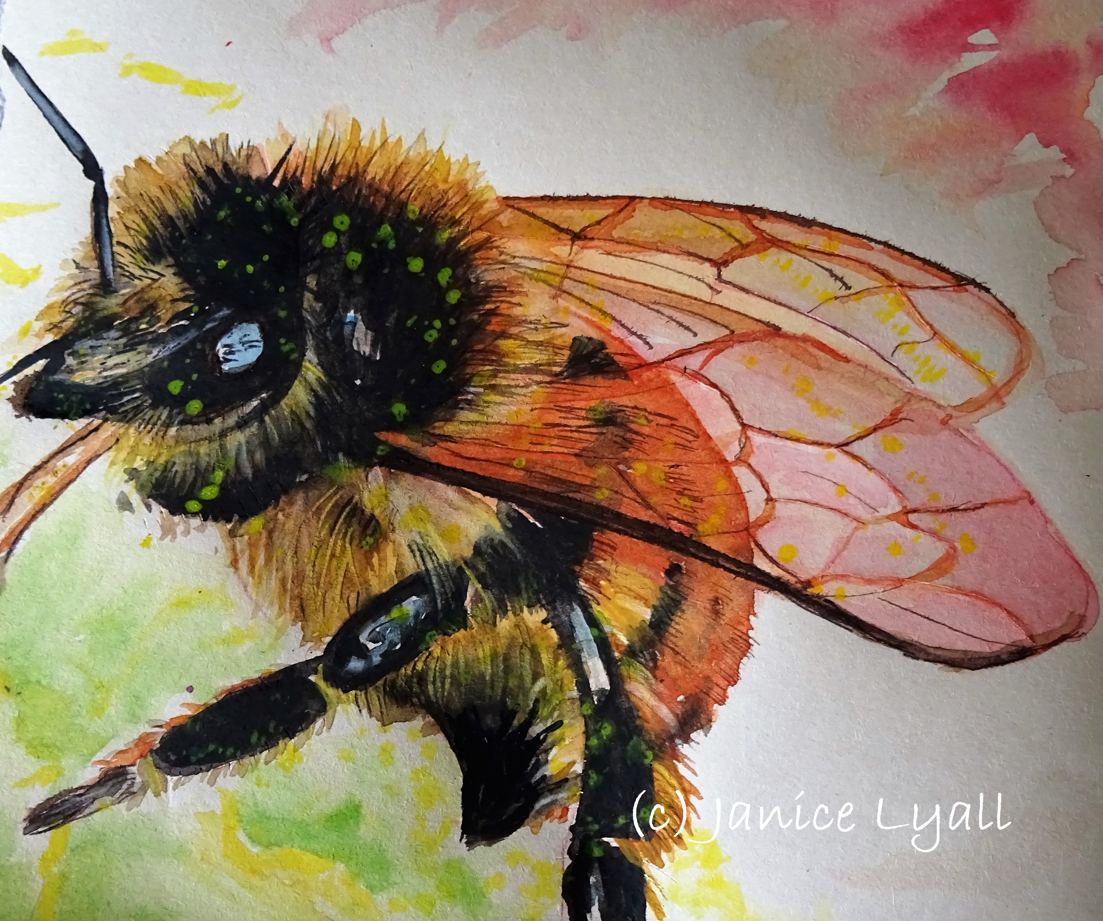 Flight of the Bumble Bee
