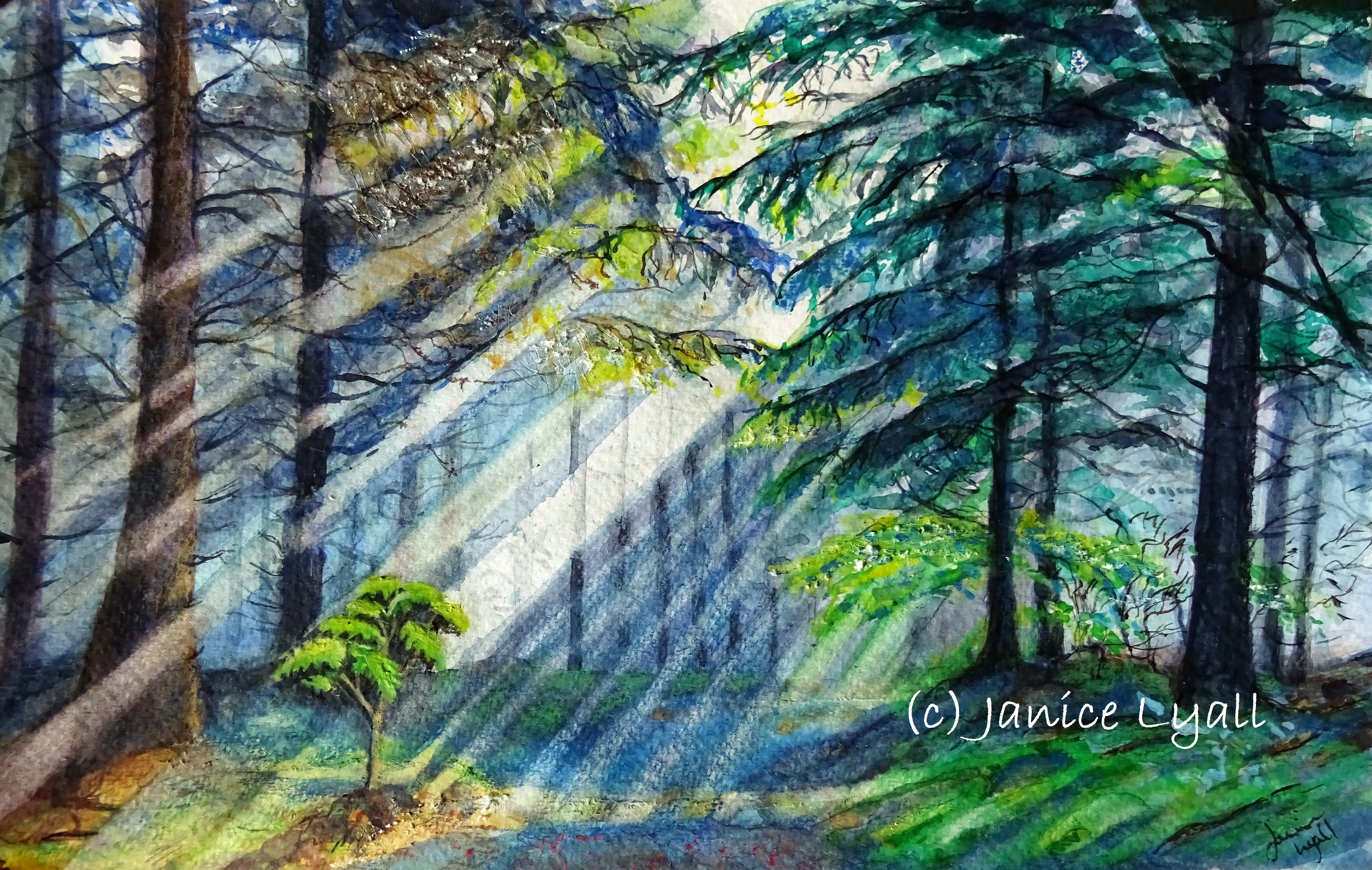 Spring Light