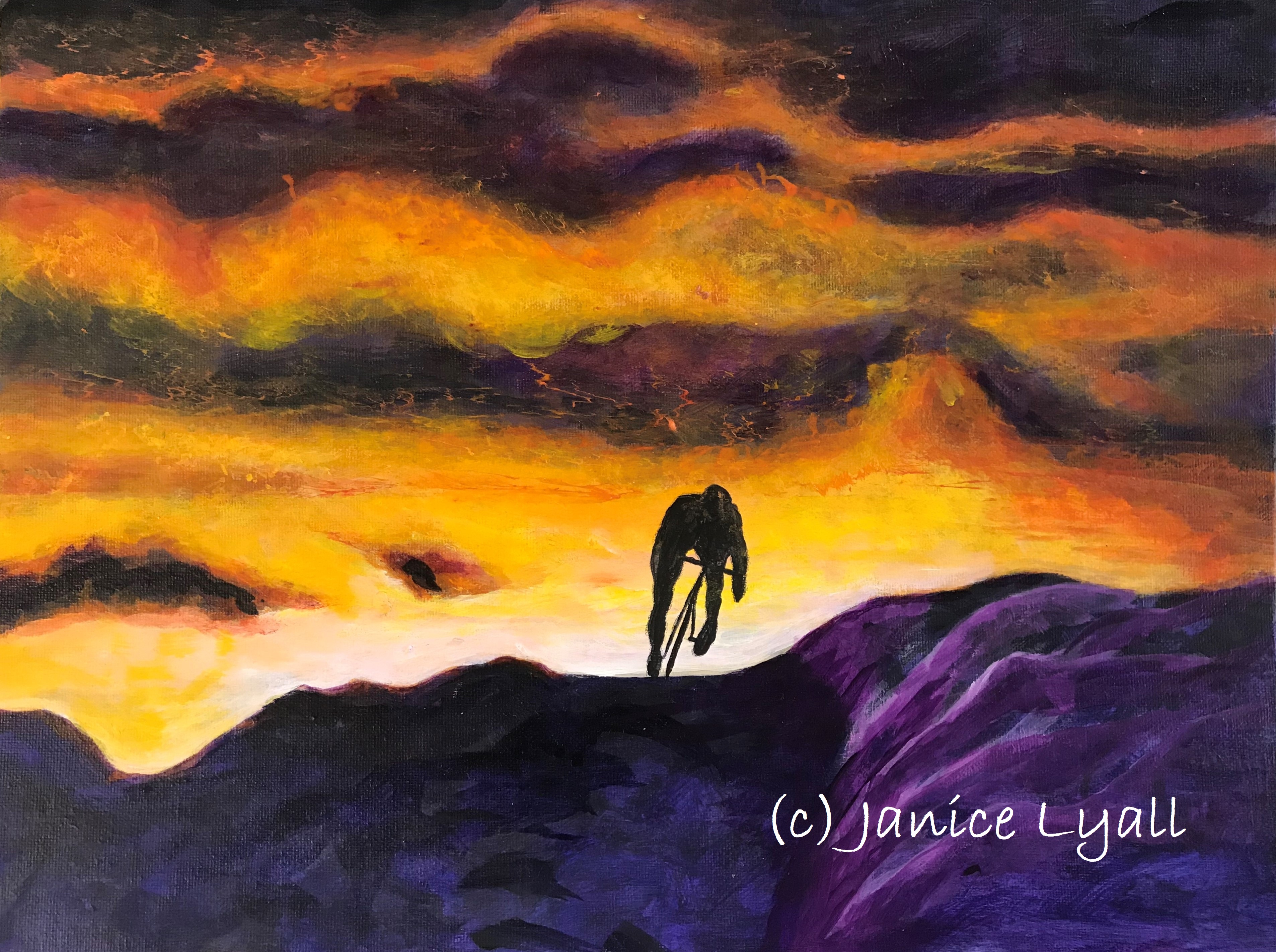 'Over the brow' by Janice Lyall