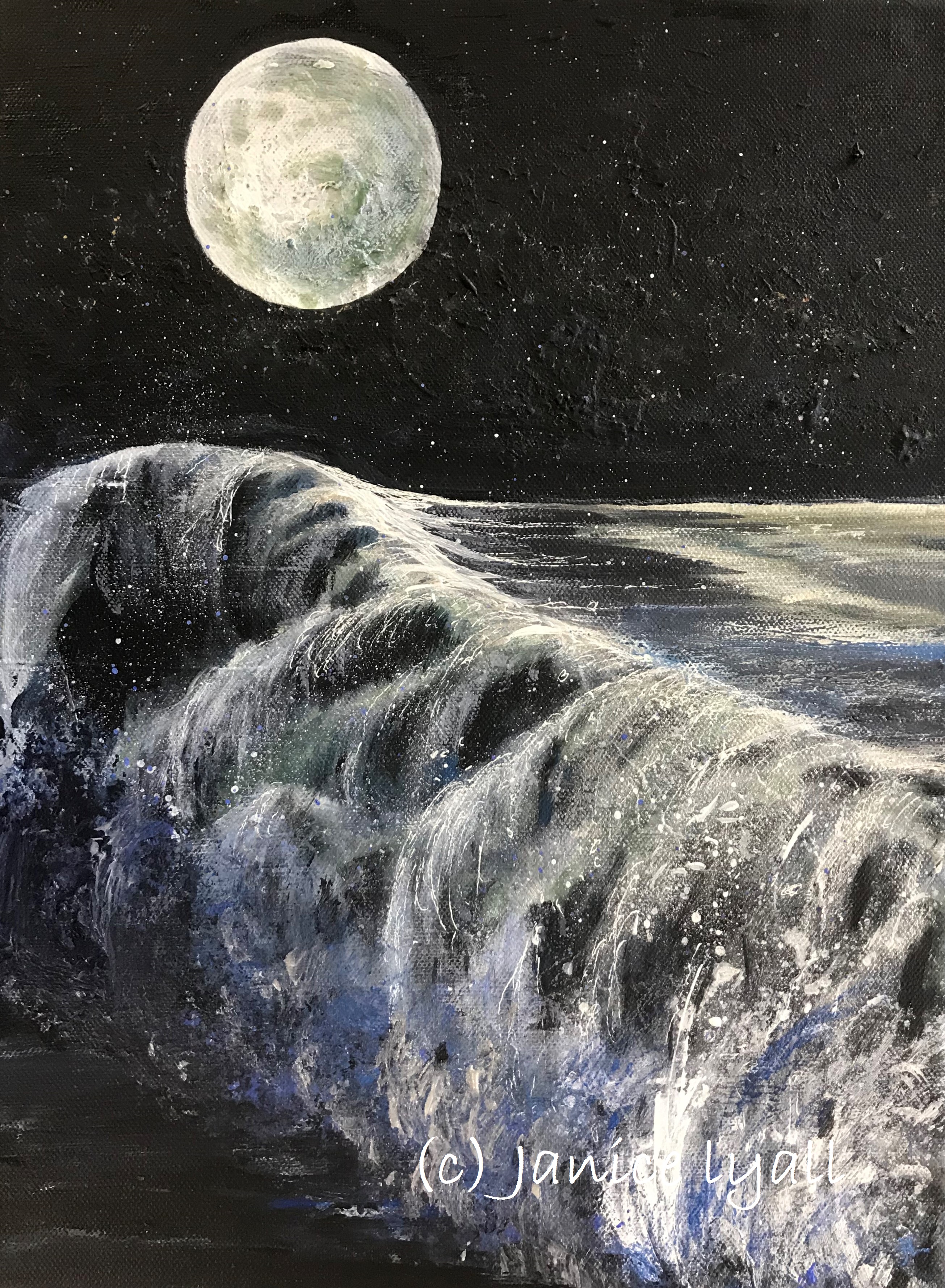 'Severn Bore in Moonlight' by Janice