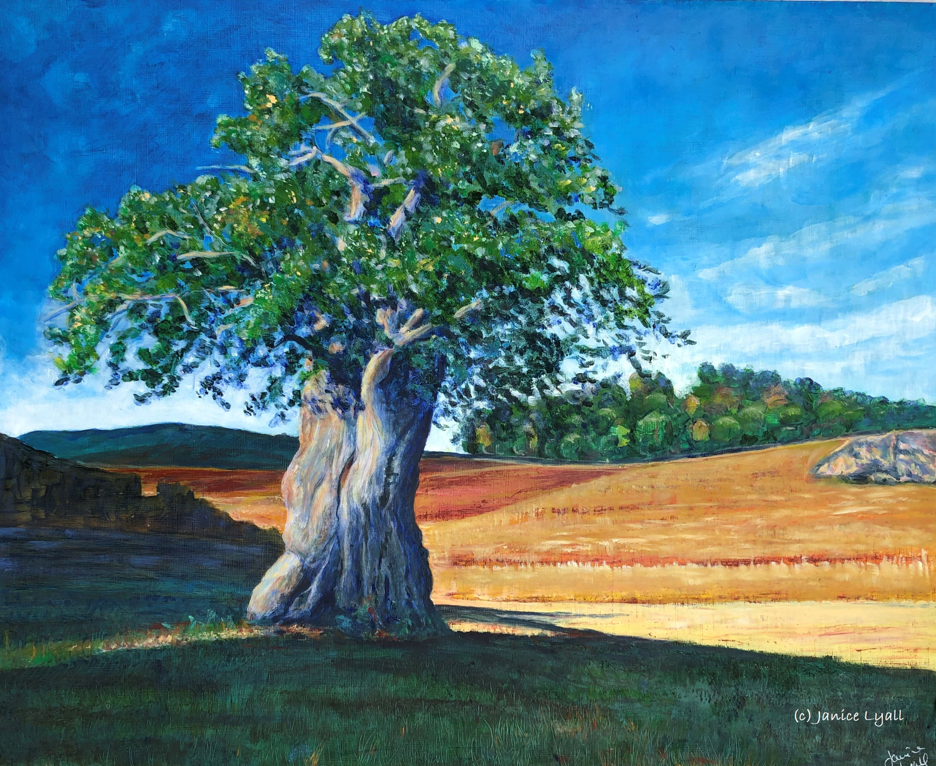 'Tree in Sun and Shadow'