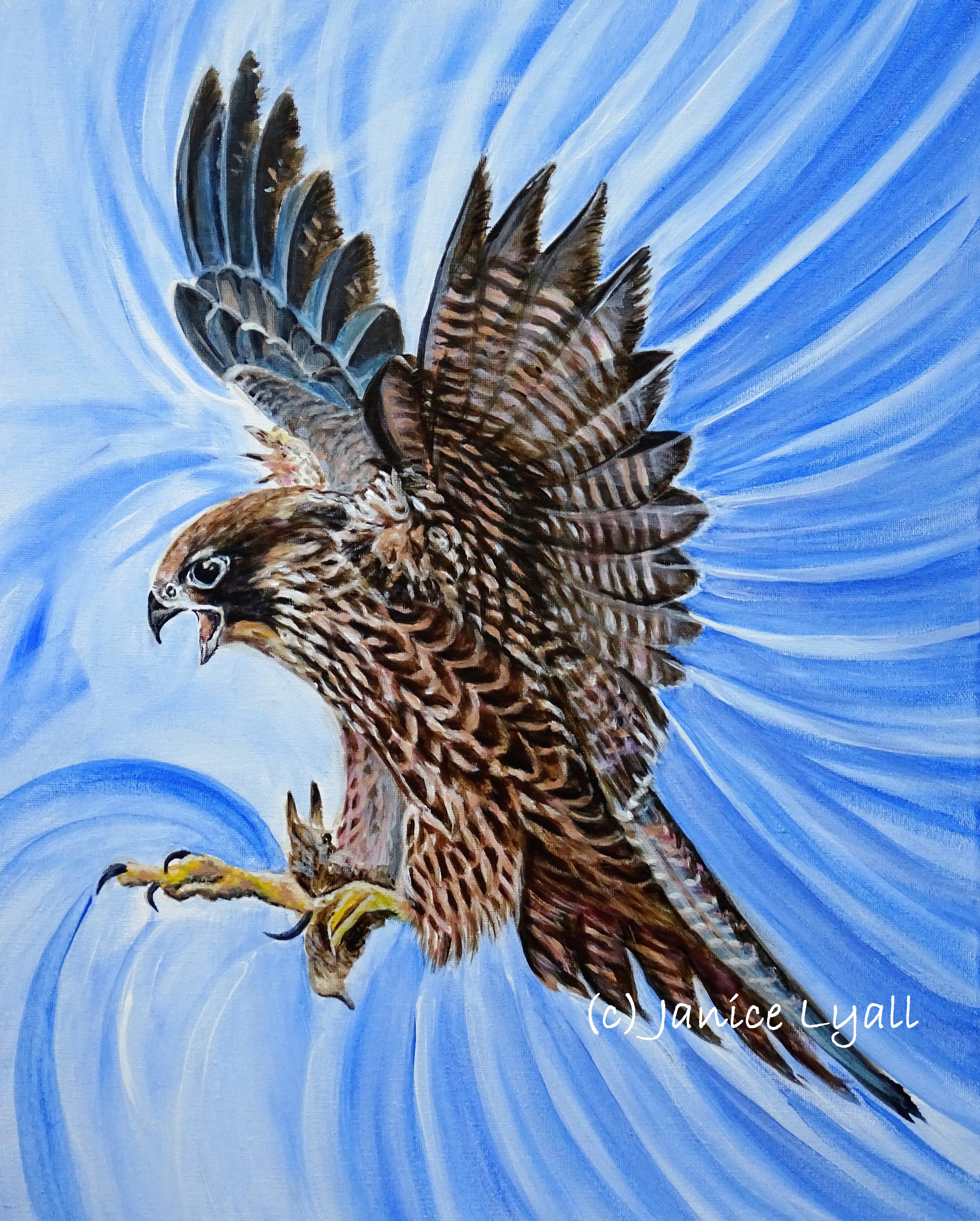 Peregrine Raptor