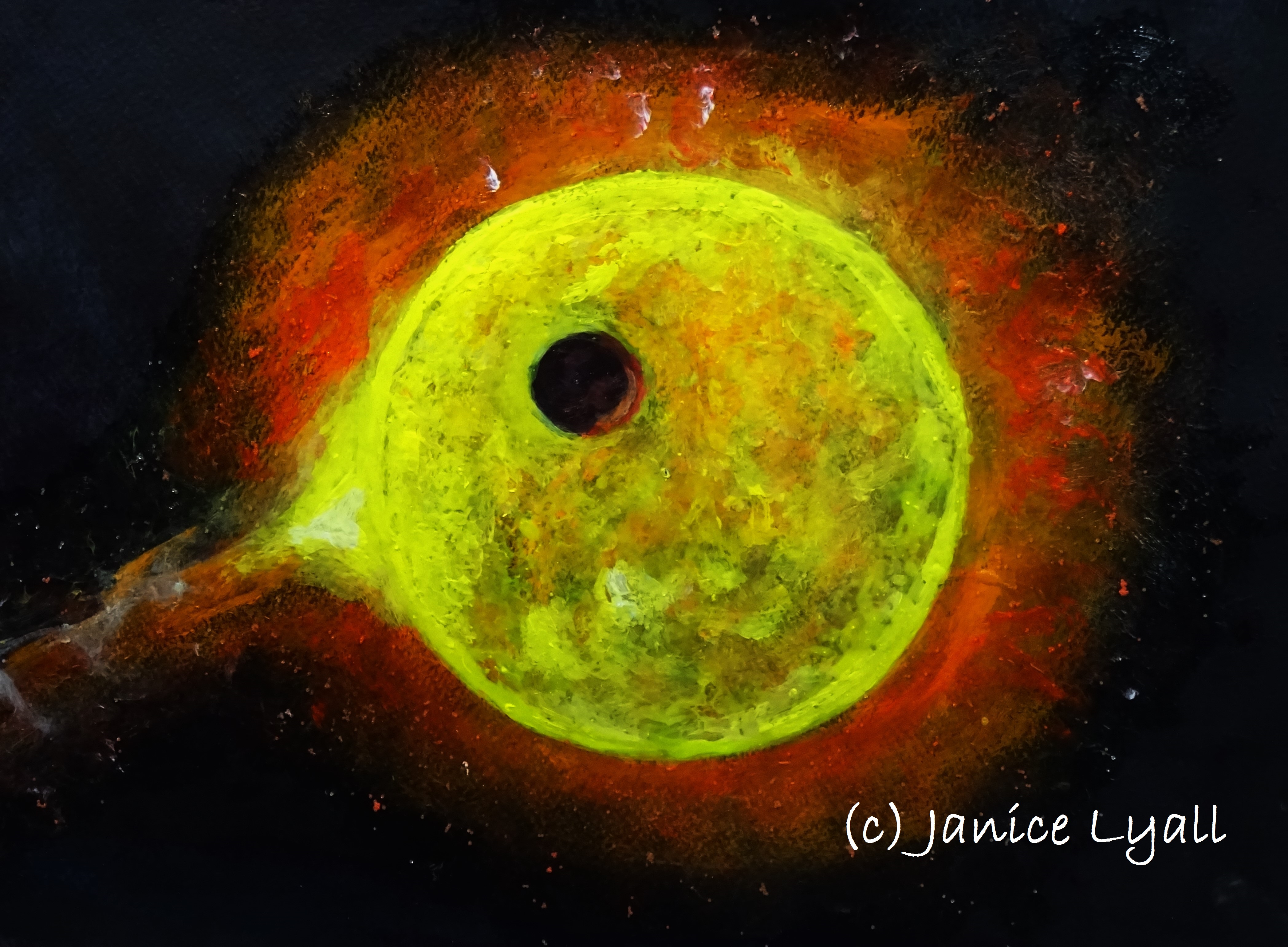 Sun, Earth and Gloucester