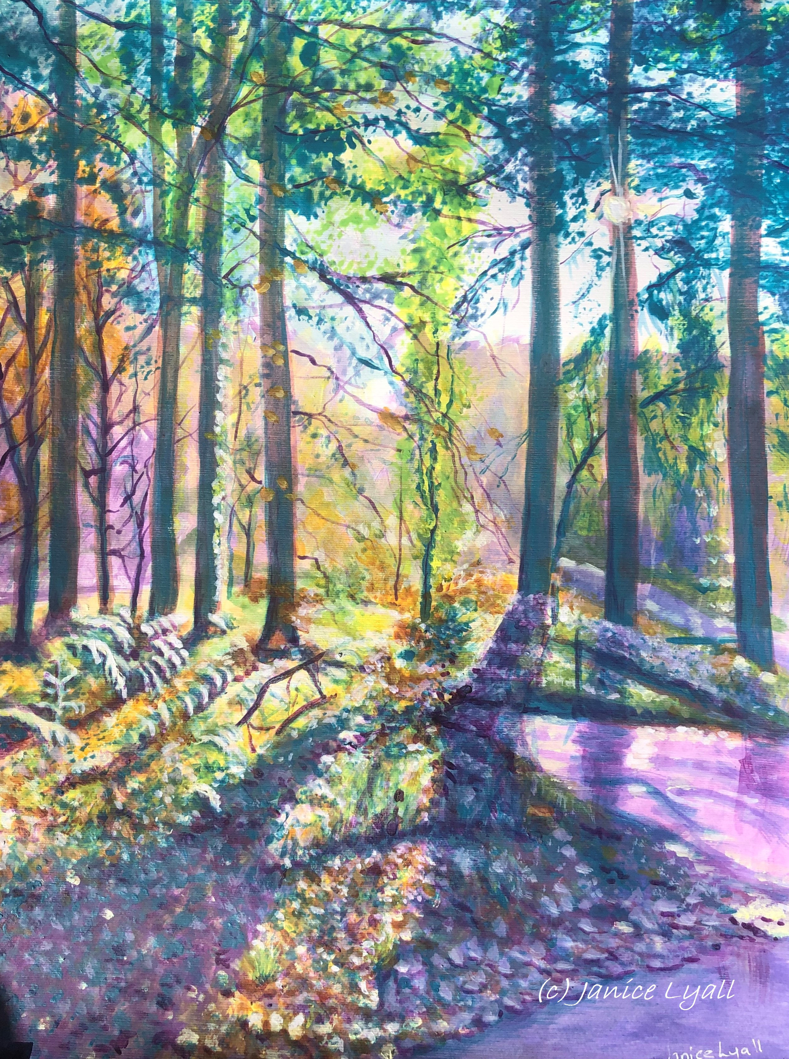 'Beechenhurst, Forest of Dean'