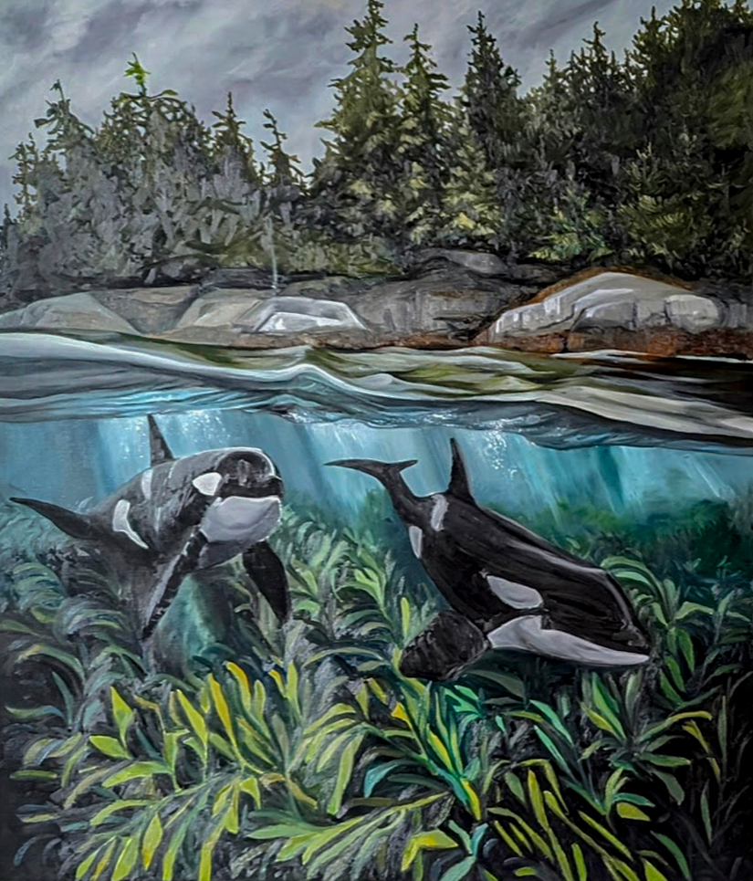 Vancouver Orca Whales, oil painting