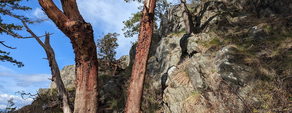 inspiration for painting landscapes