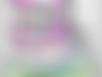 診療日のご案内(11月・12月)🐾