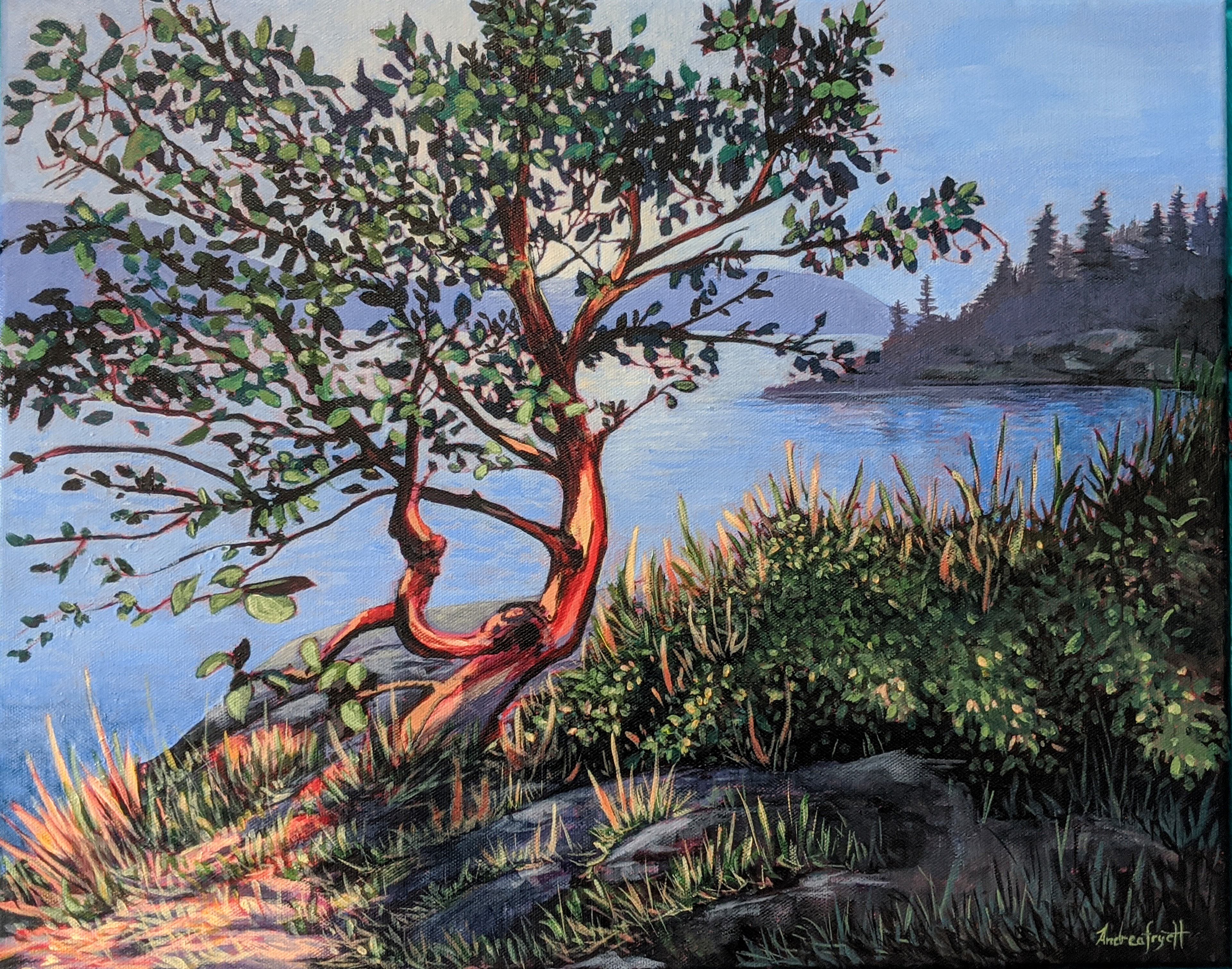 BC Canada, Arbutus Tree, landscape painting.