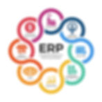 ERP Software Market