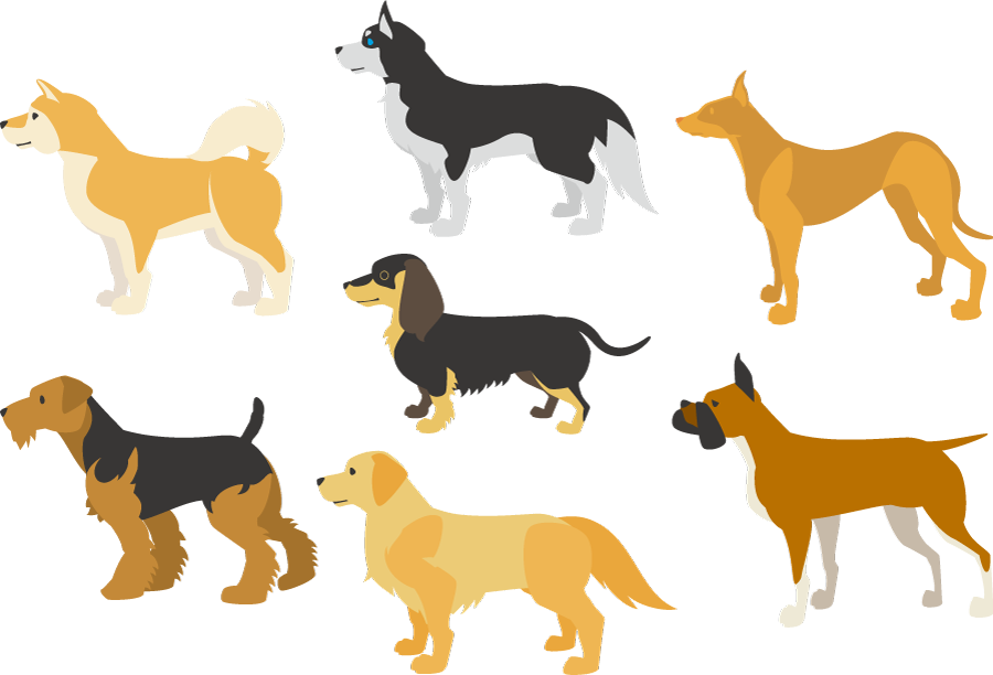 I Have Dogが変な理由 Vbaのクラスモジュールを使って英語の世界観を考える I Have Dogが変な理由 Vbaのクラスモジュールを使って英語の世界観を考える