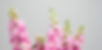 test_edited_edited_edited.jpg