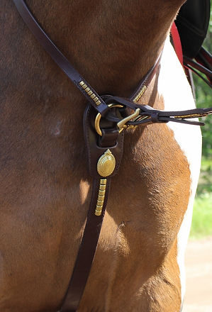 Mittatilaus martingaali