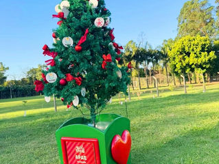 APAE Lajeado marca presença no Natal no Coração de Lajeado